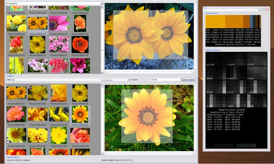 Content-Based Image Retrieval (Research project 2007-2008)
